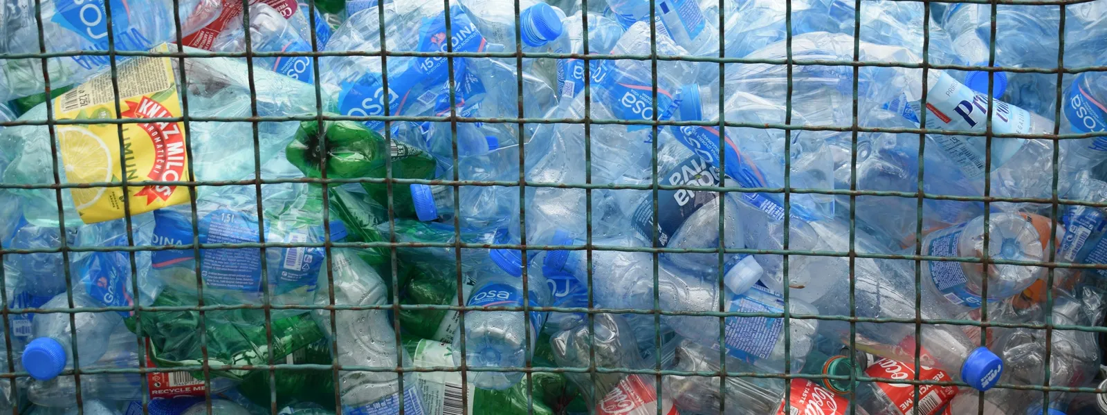 Sorted plastic bottles collected for recycling